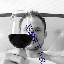 馬踏天下小說