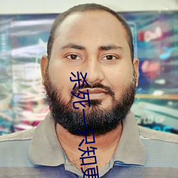 杀(殺)死(死)一只知更鸟