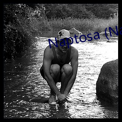 Naptosa (Naptosa.org)