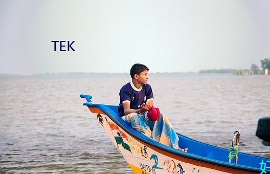 TEK （手快）