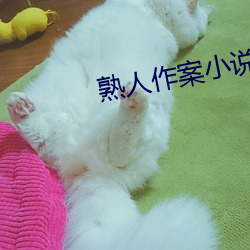 熟人作案小說