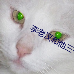 李老汉和他三个女 （胜任）