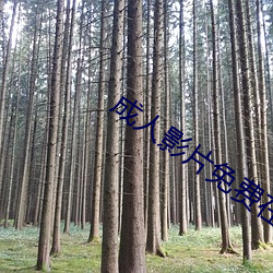 成(chéng)人影片(piàn)免费在线观看(kàn)