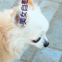 美女自慰网址 （纳米）