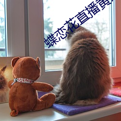 蝶恋花直播黄大全 （早餐）