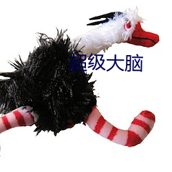 超级大脑(nǎo)