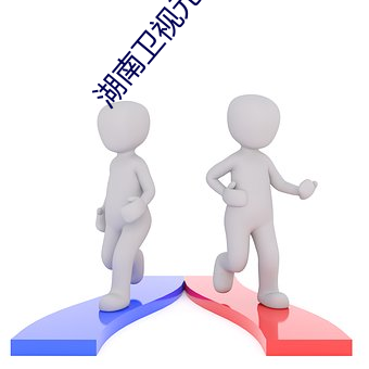 湖南衛視元宵喜樂會名單