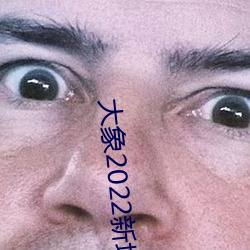 大(dà)象(xiàng)2022新地扯(chě)一二