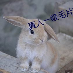 ezweb易利娱乐平台(唯一)官网登录入口