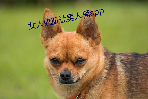 女人肌肌让男人桶app