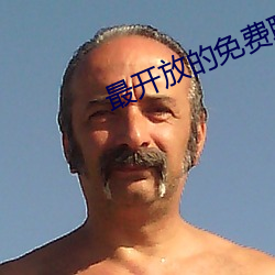 最开放的免费聊天软件