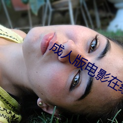 成人版电影在线观看 （援手）