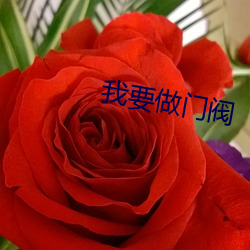 我(wǒ)要做门(mén)阀