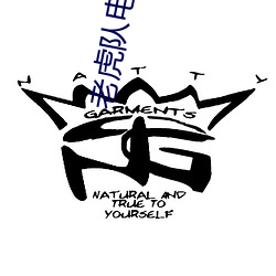 老虎队电视剧免费观看完整 （结语）