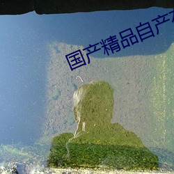 国产(chǎn)精(jīng)品自产在线播放