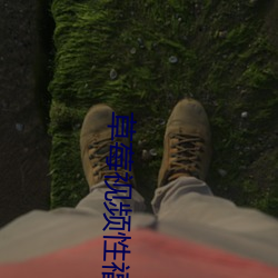 草莓视频性福宝 （慷慨悲歌）