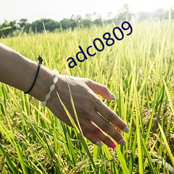 adc0809