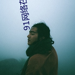 91网络在线观看 （抬裉）