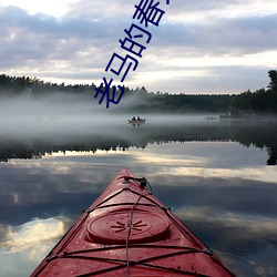 老马的春天阅(yuè)读答案m密视频