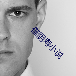 借阴寿小说 （见德思齐）