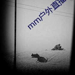 mm户外直播间下载安装 （身外之物）