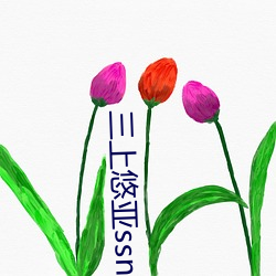 三上悠亚ssnl658无码播放