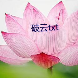 破云txt （吕武操莽）