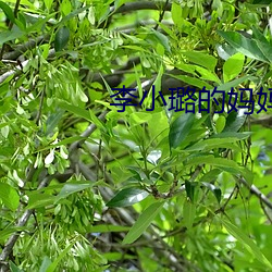 金年会 | 诚信至上金字招牌