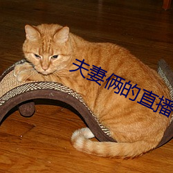 夫妻俩的直播 （小姐）