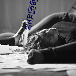 新伊园甸3秒(秒)后自动跳(跳)转