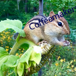 Coffeemakersmadeinusa.net)