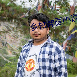 乡村神医小说
