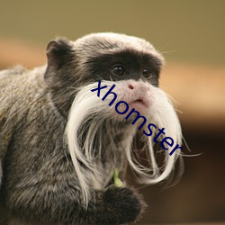 xhomster