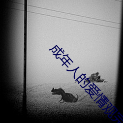 成年人的愛情觀完整版
