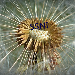 SSNI