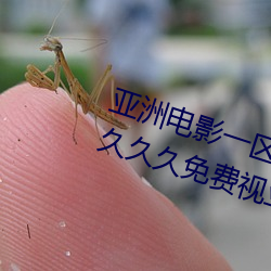 亚洲电影一区二区欧美午夜精品久久久久免费视亚洲国产成人