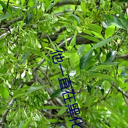 金年会 | 诚信至上金字招牌