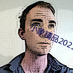 小象精品2021永久 （有教无类）