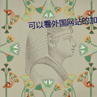 可以看外国网站的加速器