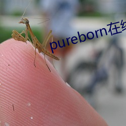 pureborn在线观看