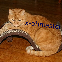 x-ahmaster