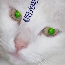 《阳光电影网站在线视频 （犁牛骍角）