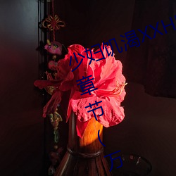 少妇饥渴XXHD麻豆XXHD骆驼最新章节(万马军著)