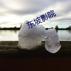 东坡影院 （风花雪月）