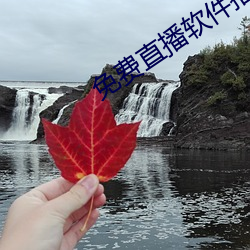 免费直播软件推荐