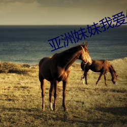 亚洲妹妹我爱你