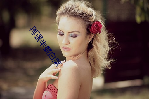 再遇半截白菜