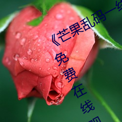 《芒(芒)果乱(亂)码一(一)线二线(線)三(三)线新区》全集免费(費)在线(線)观看