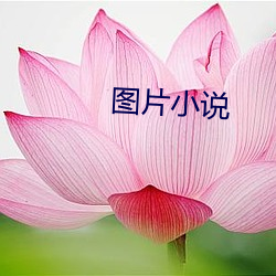 图片小说 （心术不端）