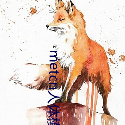 metcn人(人)体模(模)特(特)